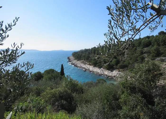 Apartman Barbara Trogir